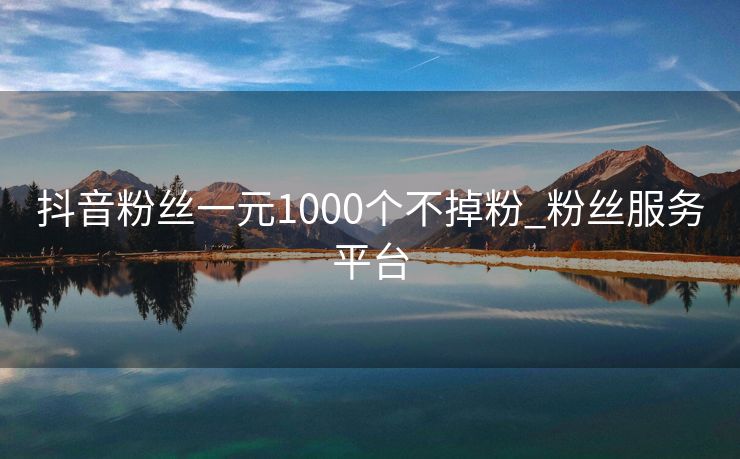 抖音粉丝一元1000个不掉粉_粉丝服务平台