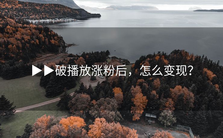 ▶▶破播放涨粉后，怎么变现？