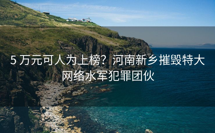 5 万元可人为上榜？河南新乡摧毁特大网络水军犯罪团伙