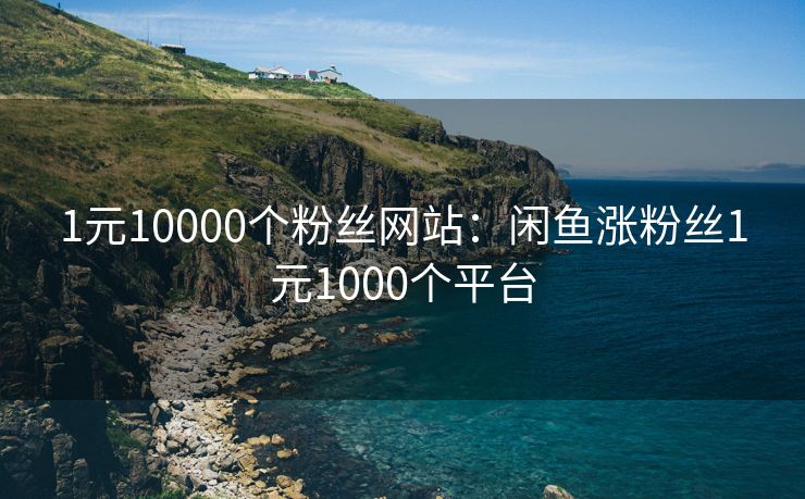 1元10000个粉丝网站：闲鱼涨粉丝1元1000个平台