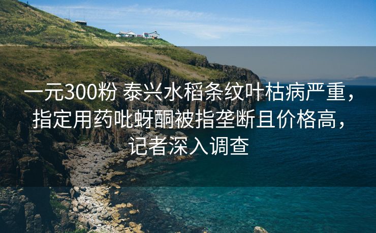 一元300粉 泰兴水稻条纹叶枯病严重，指定用药吡蚜酮被指垄断且价格高，记者深入调查