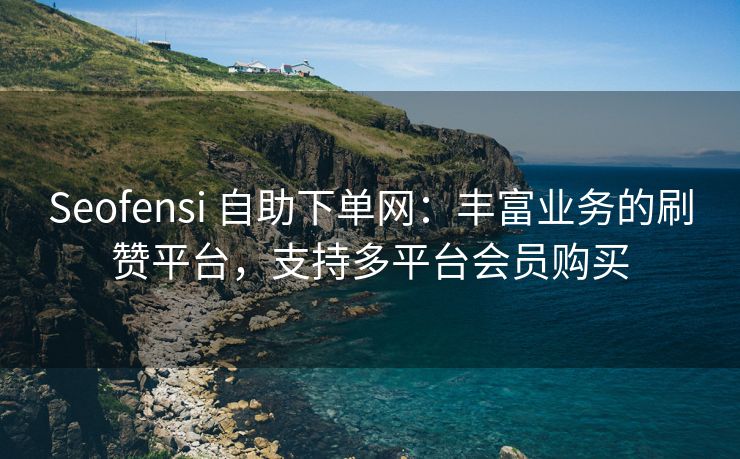 Seofensi 自助下单网：丰富业务的刷赞平台，支持多平台会员购买