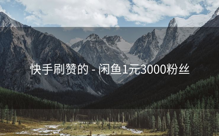 快手刷赞的 - 闲鱼1元3000粉丝