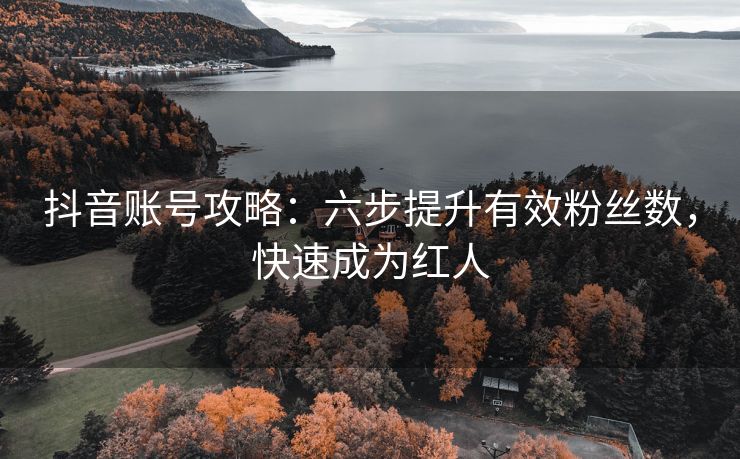 抖音账号攻略：六步提升有效粉丝数，快速成为红人