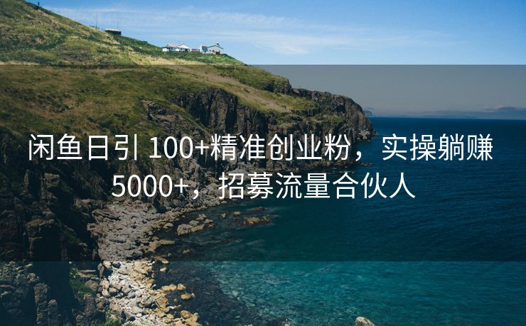 闲鱼日引 100+精准创业粉，实操躺赚 5000+，招募流量合伙人