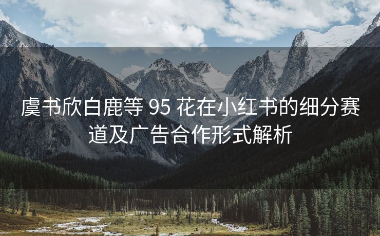 虞书欣白鹿等 95 花在小红书的细分赛道及广告合作形式解析