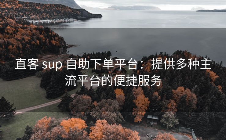 直客 sup 自助下单平台：提供多种主流平台的便捷服务