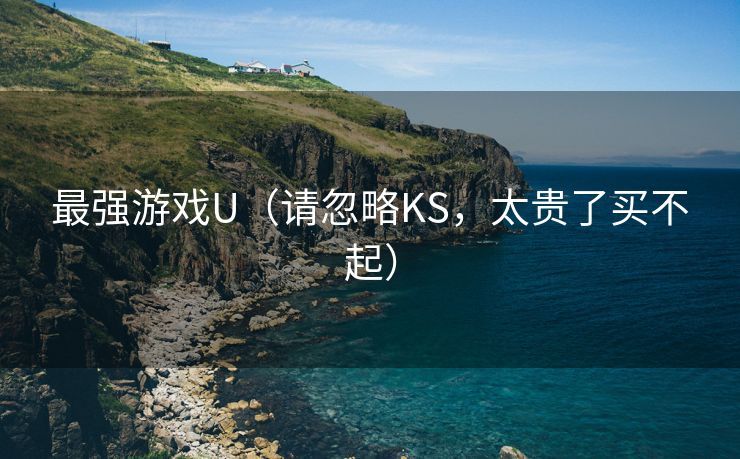 最强游戏U（请忽略KS，太贵了买不起）