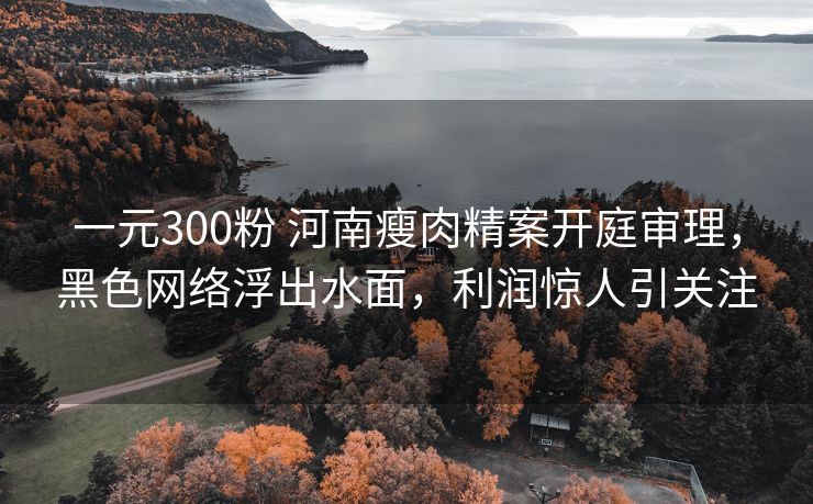 一元300粉 河南瘦肉精案开庭审理，黑色网络浮出水面，利润惊人引关注