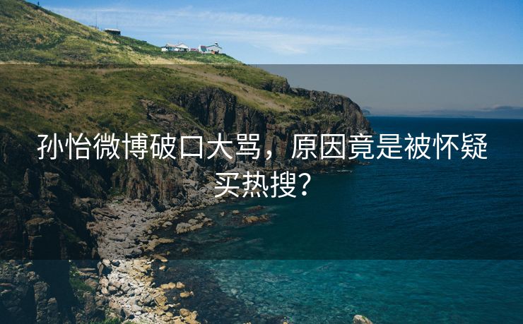 孙怡微博破口大骂，原因竟是被怀疑买热搜？