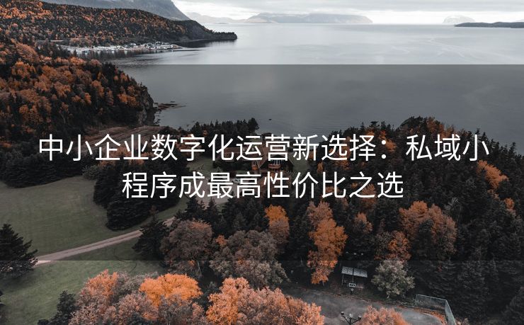 中小企业数字化运营新选择：私域小程序成最高性价比之选