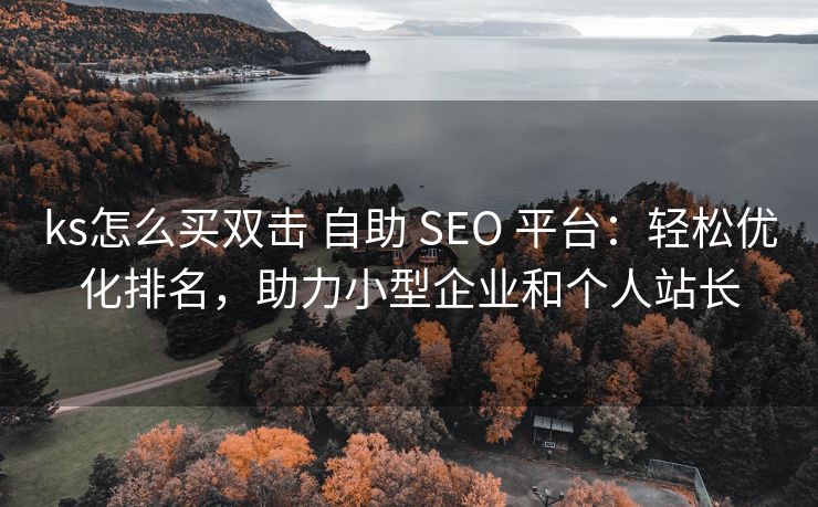 ks怎么买双击 自助 SEO 平台：轻松优化排名，助力小型企业和个人站长