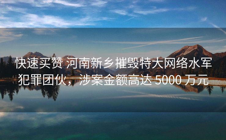 快速买赞 河南新乡摧毁特大网络水军犯罪团伙，涉案金额高达 5000 万元