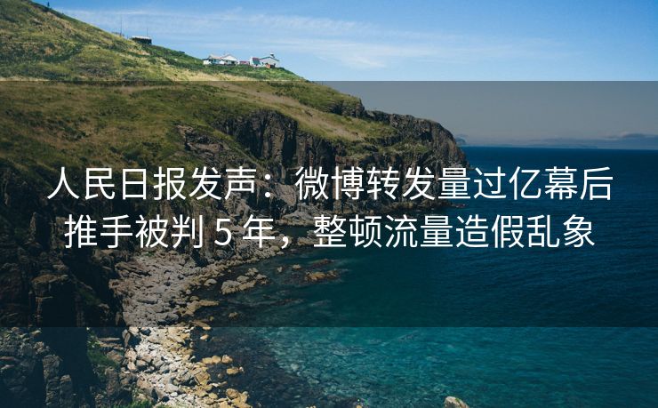 人民日报发声：微博转发量过亿幕后推手被判 5 年，整顿流量造假乱象