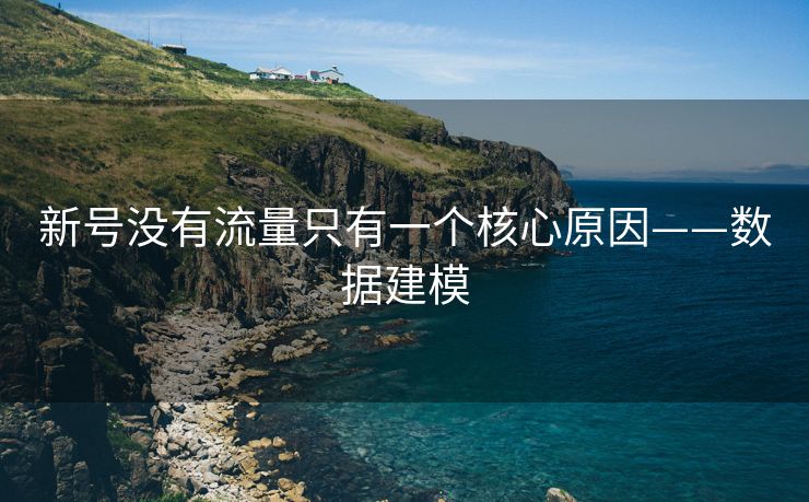 新号没有流量只有一个核心原因——数据建模