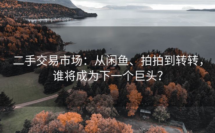 二手交易市场：从闲鱼、拍拍到转转，谁将成为下一个巨头？