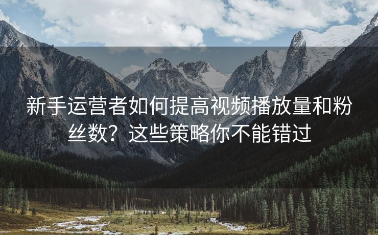 新手运营者如何提高视频播放量和粉丝数？这些策略你不能错过