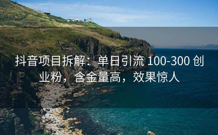 抖音项目拆解：单日引流 100-300 创业粉，含金量高，效果惊人