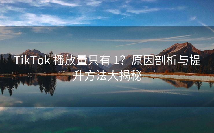 TikTok 播放量只有 1？原因剖析与提升方法大揭秘