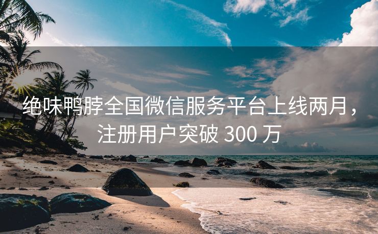 绝味鸭脖全国微信服务平台上线两月，注册用户突破 300 万