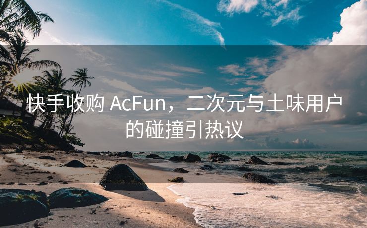 快手收购 AcFun，二次元与土味用户的碰撞引热议