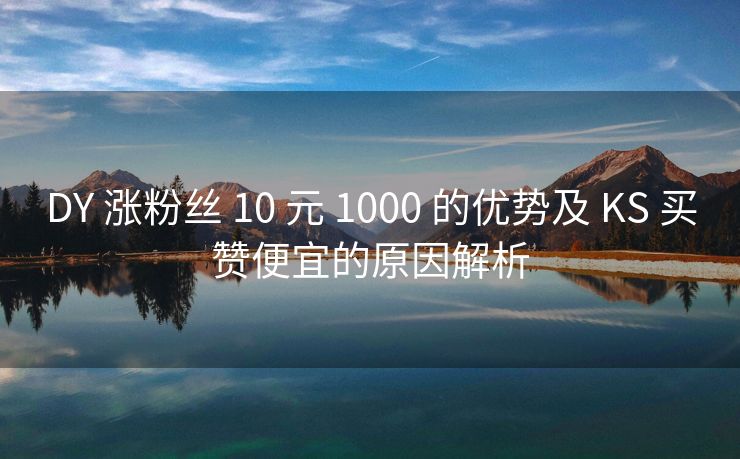 DY 涨粉丝 10 元 1000 的优势及 KS 买赞便宜的原因解析