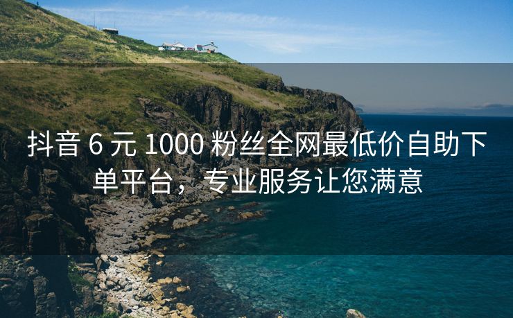 抖音 6 元 1000 粉丝全网最低价自助下单平台，专业服务让您满意