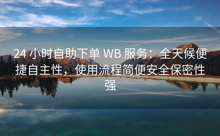 24 小时自助下单 WB 服务：全天候便捷自主性，使用流程简便安全保密性强