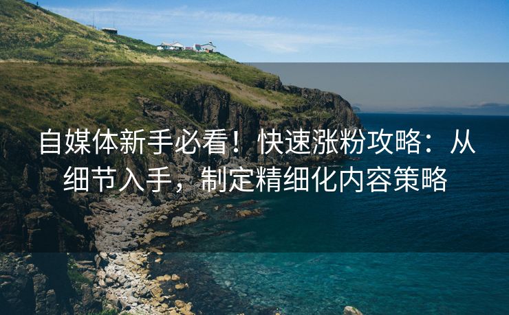 自媒体新手必看！快速涨粉攻略：从细节入手，制定精细化内容策略