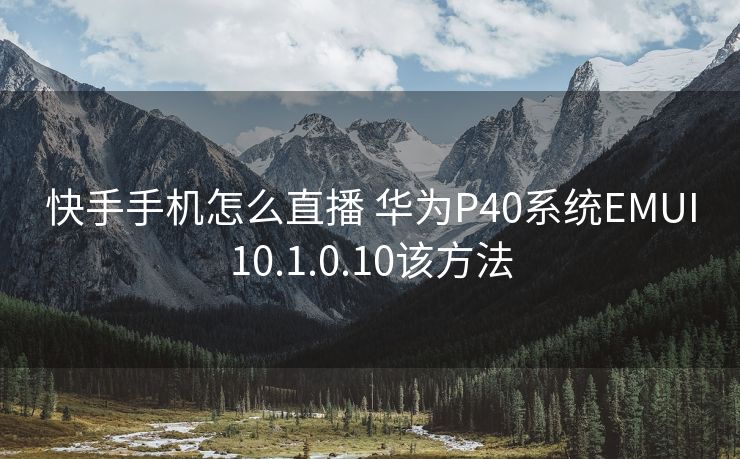 快手手机怎么直播 华为P40系统EMUI10.1.0.10该方法