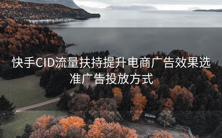 快手CID流量扶持提升电商广告效果选准广告投放方式