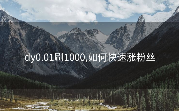 dy0.01刷1000,如何快速涨粉丝