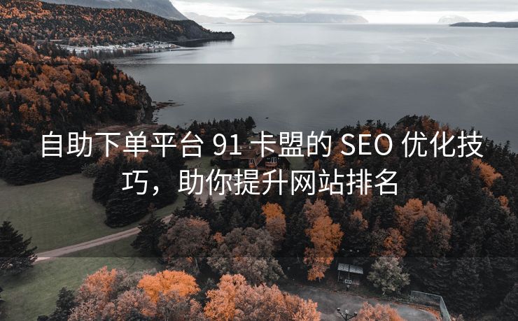 自助下单平台 91 卡盟的 SEO 优化技巧，助你提升网站排名