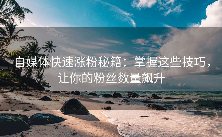 自媒体快速涨粉秘籍：掌握这些技巧，让你的粉丝数量飙升