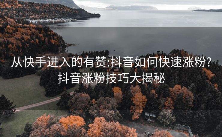 从快手进入的有赞:抖音如何快速涨粉?抖音涨粉技巧大揭秘