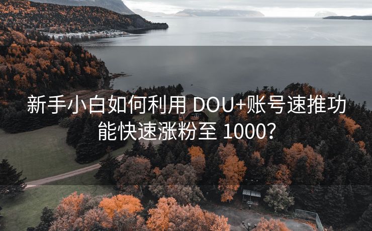 新手小白如何利用 DOU+账号速推功能快速涨粉至 1000？