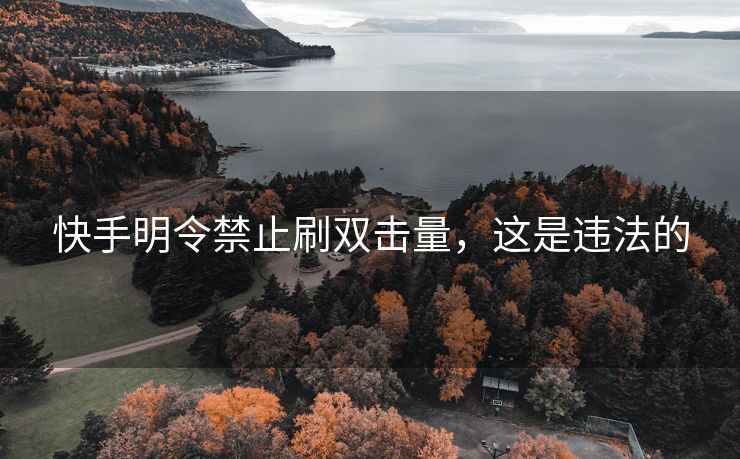 快手明令禁止刷双击量，这是违法的