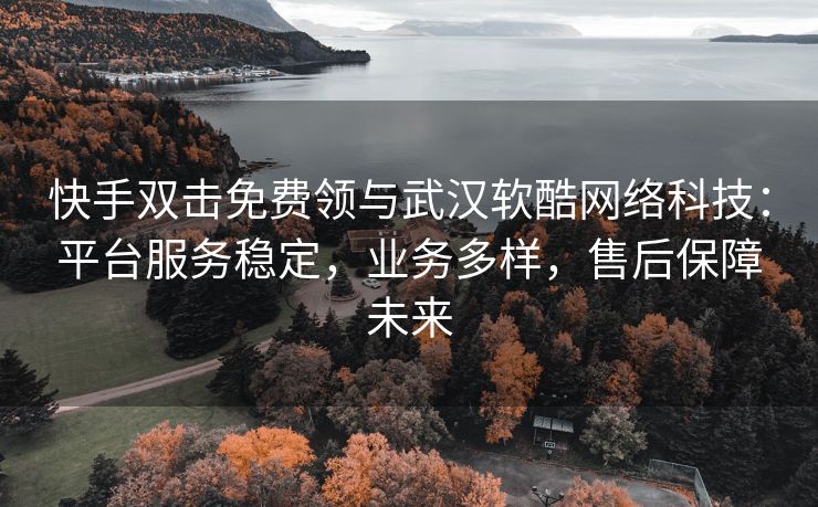 快手双击免费领与武汉软酷网络科技：平台服务稳定，业务多样，售后保障未来