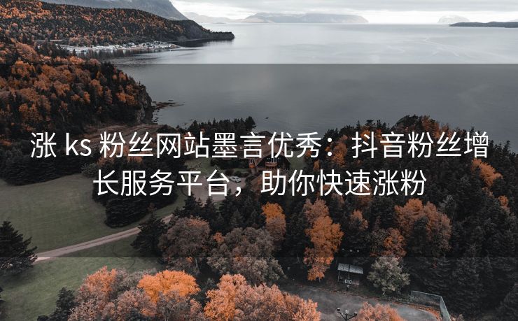 涨 ks 粉丝网站墨言优秀：抖音粉丝增长服务平台，助你快速涨粉