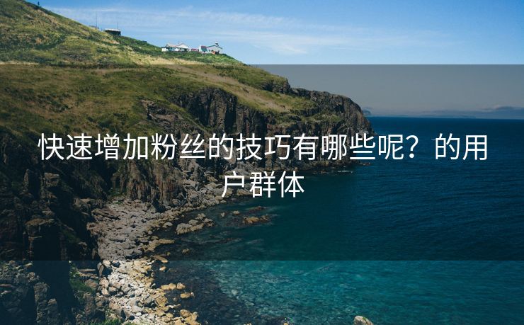 快速增加粉丝的技巧有哪些呢？的用户群体