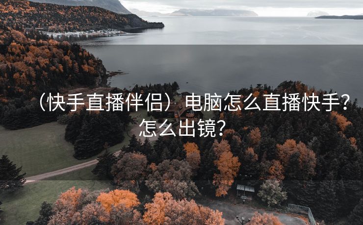 （快手直播伴侣）电脑怎么直播快手？怎么出镜？