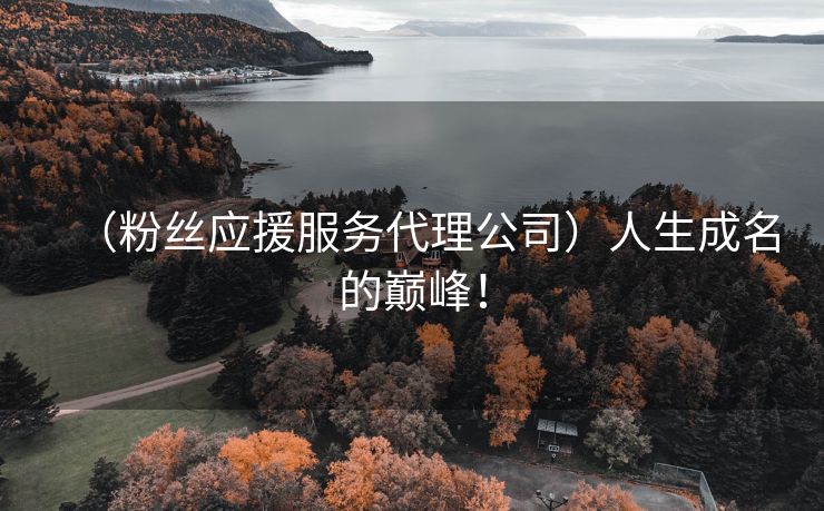 （粉丝应援服务代理公司）人生成名的巅峰！