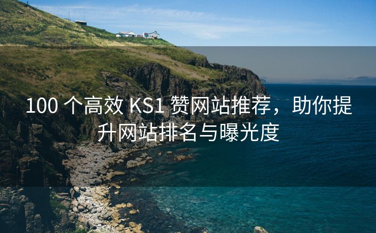 100 个高效 KS1 赞网站推荐，助你提升网站排名与曝光度