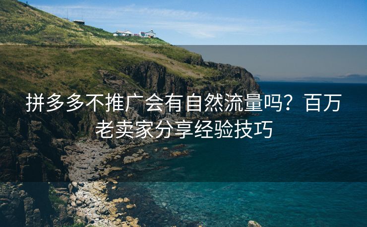 拼多多不推广会有自然流量吗？百万老卖家分享经验技巧