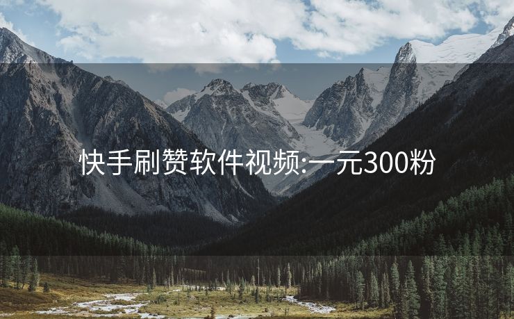 快手刷赞软件视频:一元300粉