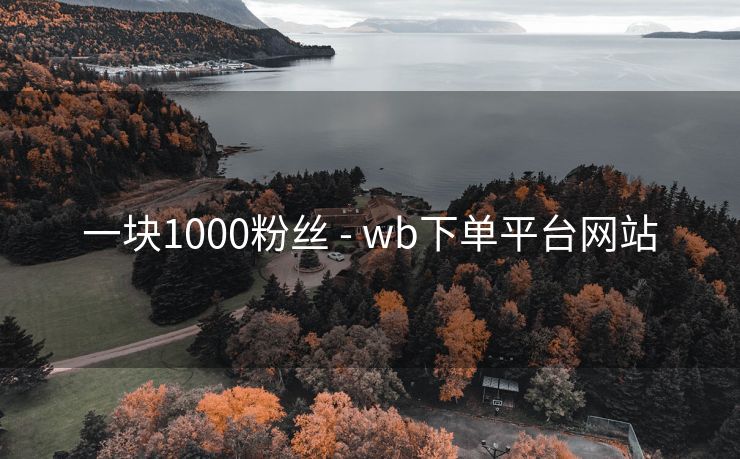 一块1000粉丝 - wb下单平台网站