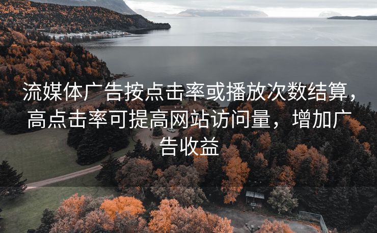 流媒体广告按点击率或播放次数结算，高点击率可提高网站访问量，增加广告收益