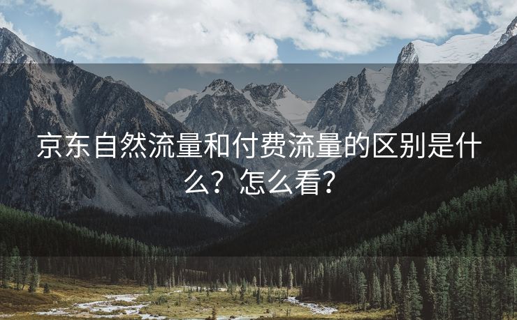 京东自然流量和付费流量的区别是什么？怎么看？