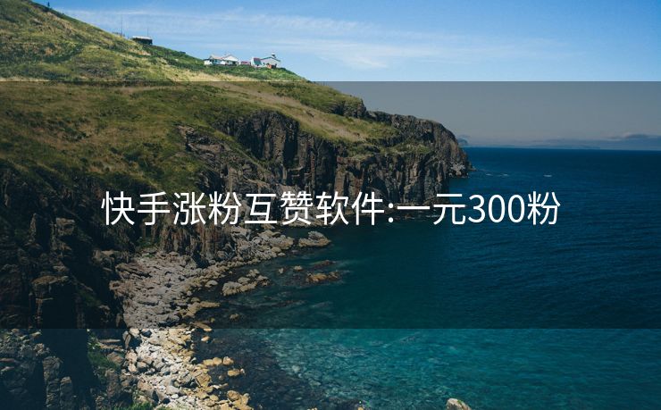 快手涨粉互赞软件:一元300粉