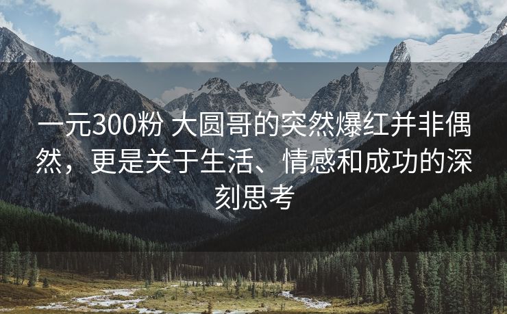 一元300粉 大圆哥的突然爆红并非偶然，更是关于生活、情感和成功的深刻思考